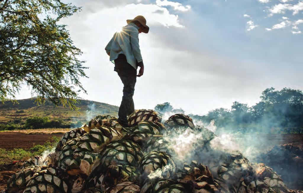 Roasting agave piñas at Del Maguey MEZCAL MAKES ITS MOVE ON TEQUILA S TAIL, MEZCAL IS INSPIRING IMPORTERS & IMPRESSING AGAVE ENTHUSIASTS BY JACK ROBERTIELLO To many Americans, it s still a niche