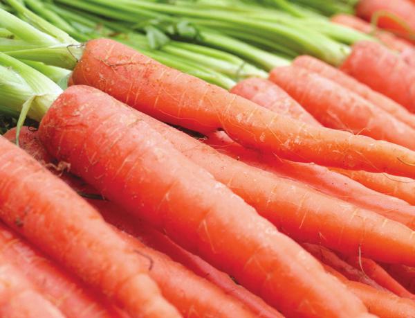 Select carrots with dark orange color for more beta-carotene. Raw carrots are good for snacking or adding to salads. Carrots can also be white, yellow, red and purple.