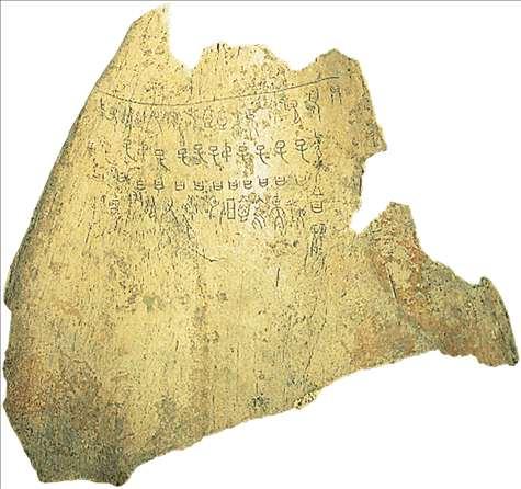Picture: An oracle bone from Shang times has an inscribed question and numerous cracks caused by exposure of the bone to fire.