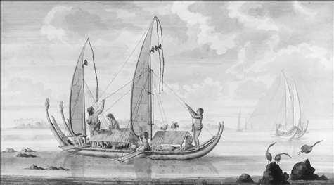 Picture: Austronesian mariners sailed double-hulled voyaging canoes much like those from Ra iatea in the Society Islands, drawn in 1769 by an artist who accompanied Captain James Cook on his first