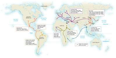 MAP 1.2 Origins and early spread of agriculture.after 9000 B.C.E. peoples in several parts of the world began to cultivate plants and domesticate animals that were native to their regions.