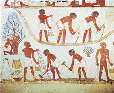 cultivators flocked to the Nile valley and established societies that depended on intensive agriculture.