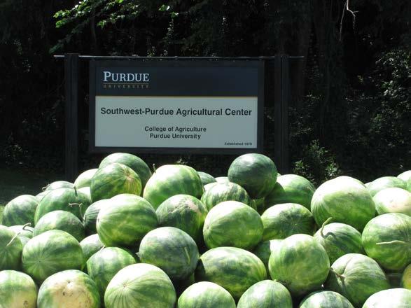 Southwest Purdue Agricultural Center Watermelon and Cantaloupe Variety Trials 2014 Presented at a meeting of the Southwest Indiana Melon and Vegetable Growers Association November 20, 2014.
