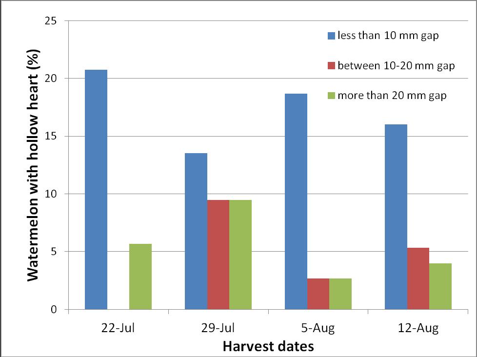 Figure 1: Hollow heart severity of watermelon by harvest date as a percent of the total number of fruit harvested on that date. No hollow heart data was taken on 29 August.