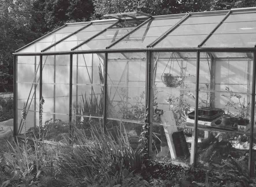 24 12 This article appeared in a local newspaper. Acid Rain Attack on Greenhouse! A gardener used polycarbonate instead of glass in his greenhouse.