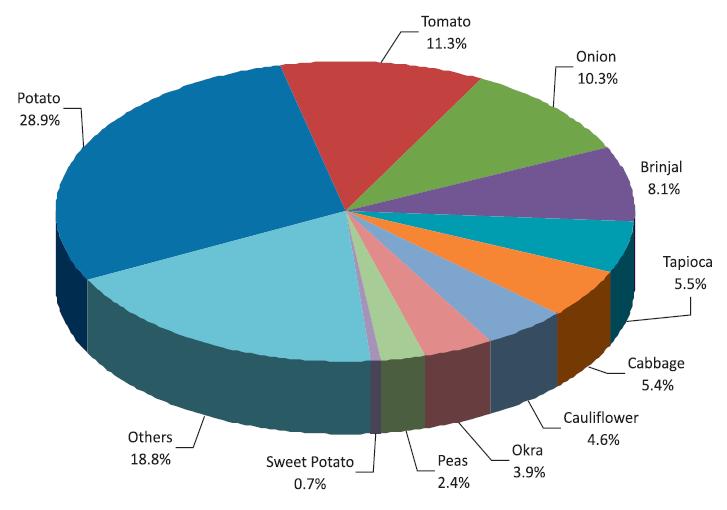 Production share of major vegetables in