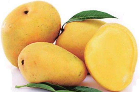 Mango Market Profile Prepared by: Ministry of Industry, Commerce, Agriculture & Fisheries Agricultural