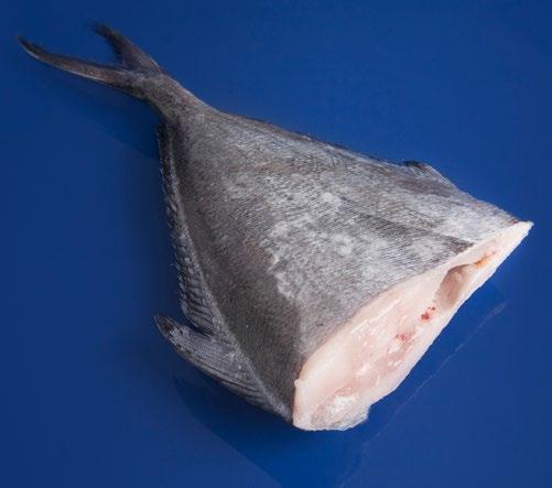 brama Headed & gutted Block frozen Pack size: 600 g+ OTHER SEA-FROZEN PRODUCTS