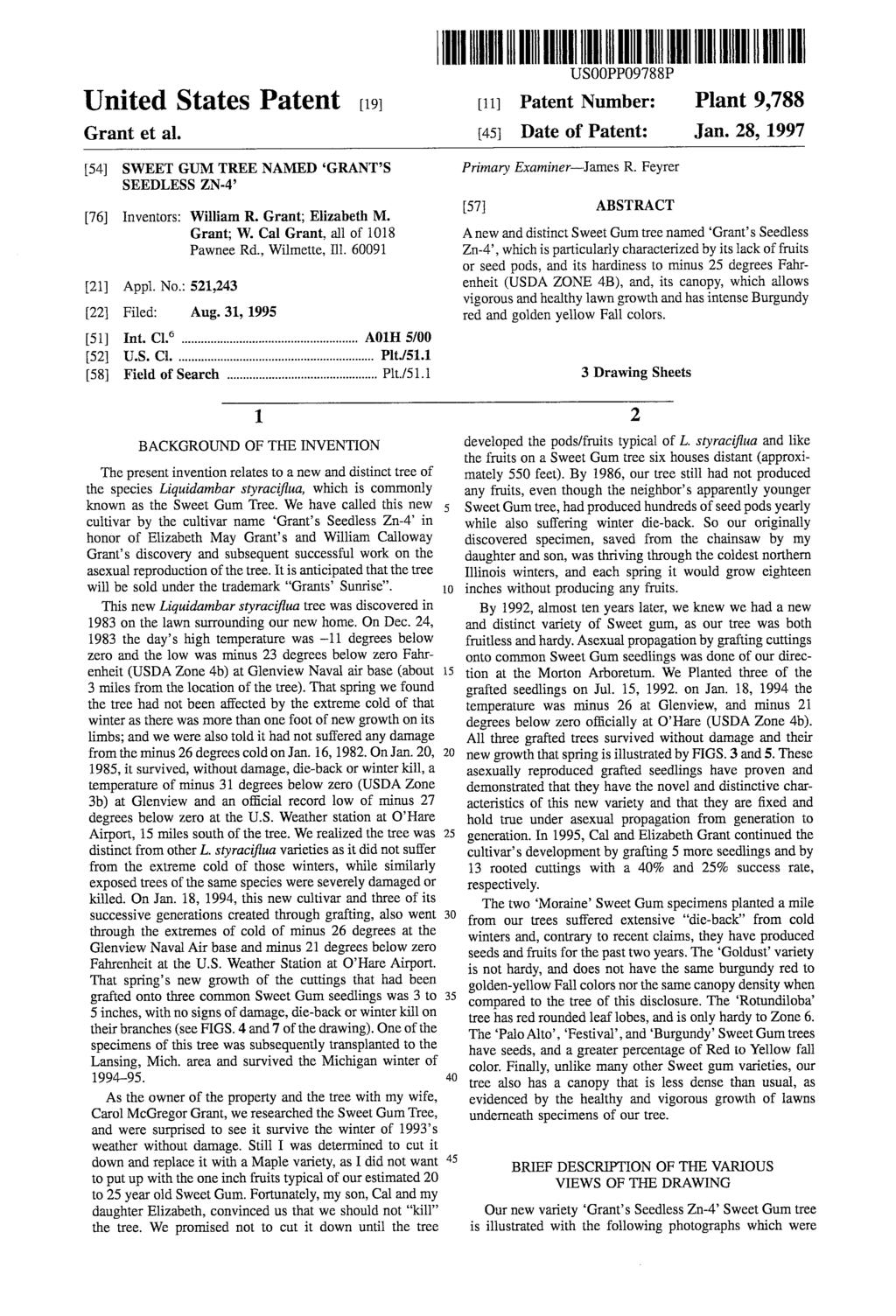 United States Patent (19) Grant et al. (54) SWEET GUM TREE NAMED GRANTS SEEDLESS ZN-4' (76) Inventors: William R. Grant; Elizabeth M. Grant; W. Cal Grant, all of 1018 Pawnee Rd., Wilmette, Ill.