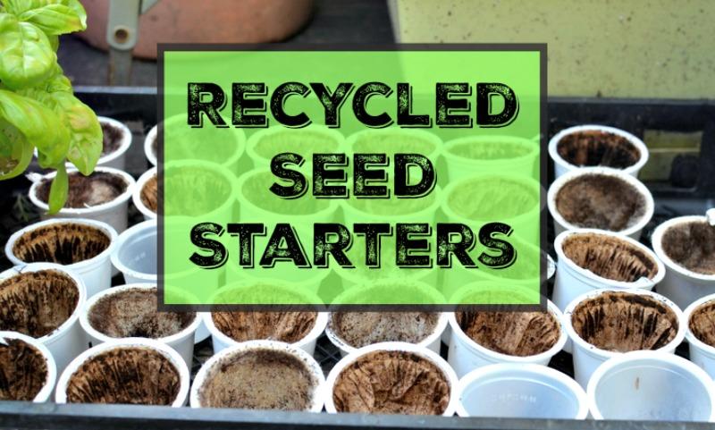 Recycled Seed Starters From the Trash Bin Starting seedlings in recycled seed starters saves you money and reuses items intended for the trash bin or recycle center.