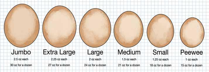 A USDA Grade AA egg means that the yolk is high and the white will not spread much when the shell is broken.
