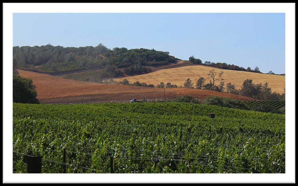 2013 TRENDS in Agricultural Land Napa, Sonoma, Mendocino, & Lake Counties www.calasfmra.