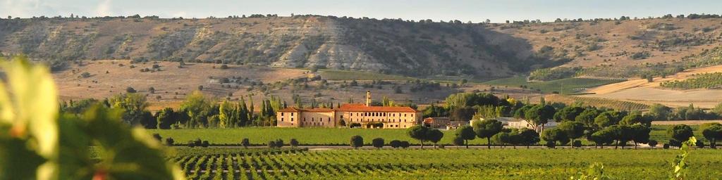 Here you will enjoy a grape collection workshop and taste their wines.