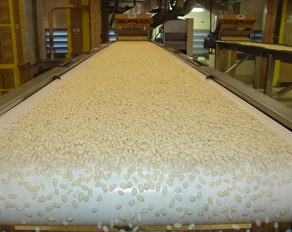 Coplana Premium Peanuts Coplana - Industrial Cooperative - located in the heartland of São Paulo State, Brazil, produces and sells carefully selected Coplana Premium Peanuts, a reference