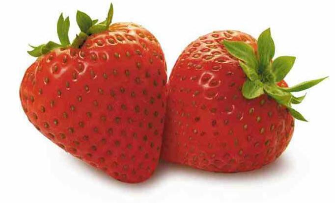 Strawberry BOTANY Fragaria ananassa L. It is a member of the Rosaceae family. It is commonly known as strawberry. It is a perennial plant of the Rosaceae family which sprouts every year.
