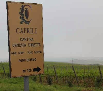 Caprili Toscana Bianco Settimia 2016 100% Vermentino!