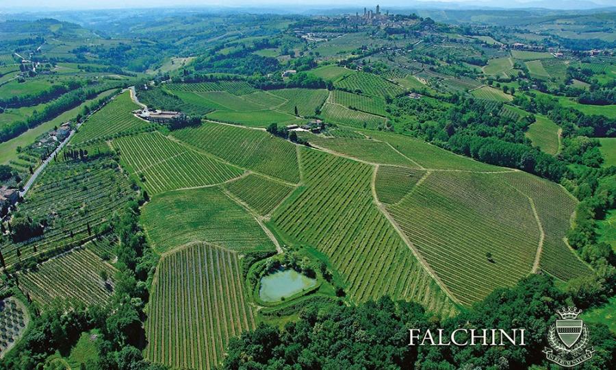 Falchini Paretaio IGT Toscana 2012 95% Sangiovese, 5% Merlot One of the stranger stories of all of a family which became producers in a well known area of Tuscany without, however, not only any