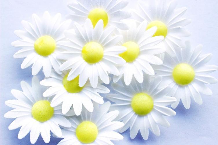 Cake Décor Wafer Decorations CODE Product & Description MOQ Lead Time Case Gluten Free RM080 Edible Wafer Daisies These White Edible
