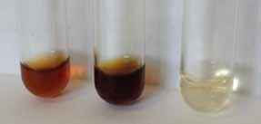 Extraction of Acrylamide from Coffee using ISOLUTE SLE+ Page 4 Additional Notes The addition of the ammonia solution results in the coffee changing from a mid-brown to a darker brown appearance.