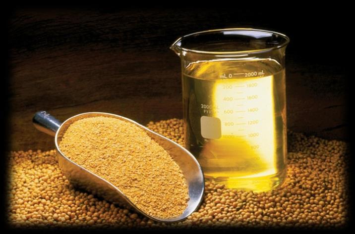 Soybean Oilseed & Oil Among edible oils, soybean oilseed & oil import stands out Soybean oilseeds annual import bill for FY17 ~ $800 million Its a short duration crop that accounts for 57% of world s