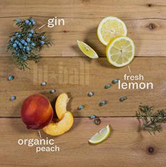 Garnish with lime wedge. Peach Fizz - New Orleans Peach (Gin Fizz is known as a hometown specialty of N.O.) - Hiball Fizz - Peach Fizzy - Sparkling Peach 2.0 oz. Gin 0.75 oz. Fresh Lemon Juice 1 tsp.