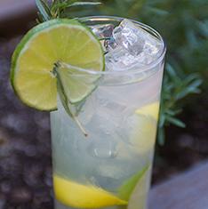 Shake vigorously (to get ﬂavor from rosemary). Strain into a highball glass full with ice and top with Hiball Lemon Lime Sparkling Energy Water.