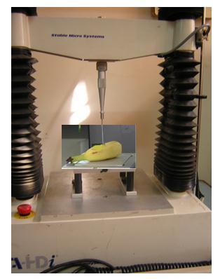 Journal of Agricultural Engineering and Biotechnology May 213, Vol. 1 Iss. 1, PP. 17-22 The texture of fruits was determined using the texture analyzer (Stable Micro System, Texture Expert Version 1.