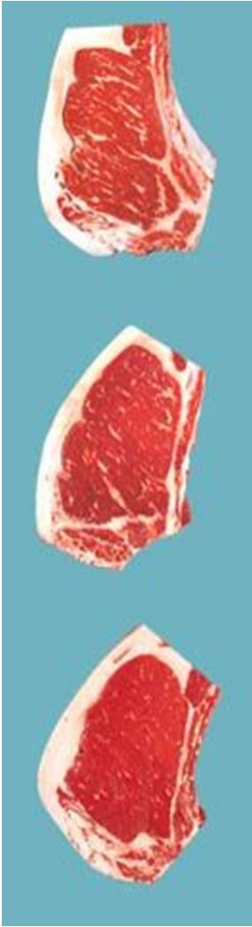 BEEF GRADING: Carcass Fat Plays important role in determining quality and yield grades Types of fat: Marbling (intramuscular) Fat deposited within the muscle Important factor in determining quality