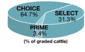 BEEF GRADING: Quality and Yield Grades 8 Quality Grades 3 most familiar: 5 remaining: Standard, Commercial, Utility, Cutter and Canner