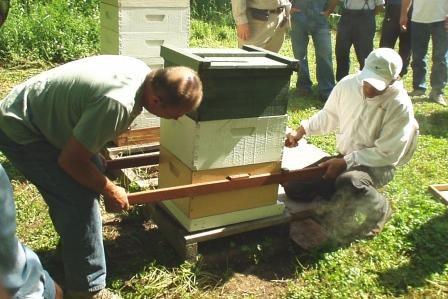 It is safe to move hives short distances after flowers all wither from cold and the temperature of natural water sources drops so that honey bees can no longer collect it without becoming fatally