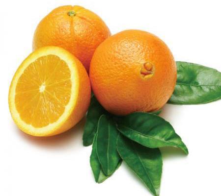 Millions of Tons Millions of Tons 60 50 40 30 20 10 0 Washington navel Global Production- Oranges (Fresh) Total Global Orange Production & Consumption (Fresh) 2013/14 2014/15 2015/16 2016/17