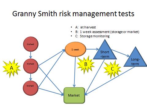 Fig 1. SRAB testing scheme for Granny Smith storage.
