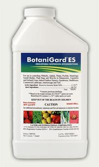 # 3 You can use Beauvaria bassiana (Botanigard/Mycotrol O)--soil & foliar