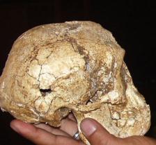 Cro-Magnon Man- found in Cro-Magnon, France dates between 27,000-23,000ya, earliest AMH populations found in Europe, very sophisticated, fished, cured ailments, made clothing and jewelry, built rafts