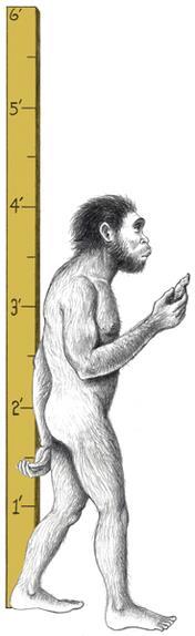 A second group of hominids was discovered by the husband and wife team of Louis and Mary Leakey.