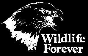 Fish and Wildlife Foundation, Federal