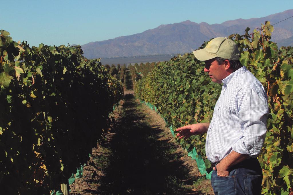 INTRODUCING EDY DEL POPOLO Edgardo Del Pópolo is an Argentinean wine industry veteran and probably one of the most respected and consulted Argentine viticulturists, where he has worked since 1992.