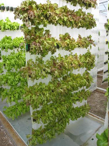 Vertical Gardening Approach for Aesthetics Maximizing a small space Stacking can reduce amount of