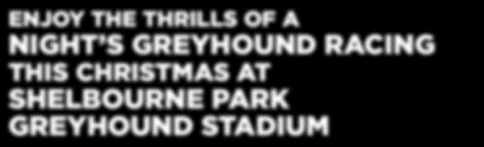 ENJOY THE THRILLS OF A NIGHT S GREYHOUND RACING THIS CHRISTMAS AT SHELBOURNE PARK GREYHOUND STADIUM Our state of the art venue offers incredible value night time entertainment that will exceed your