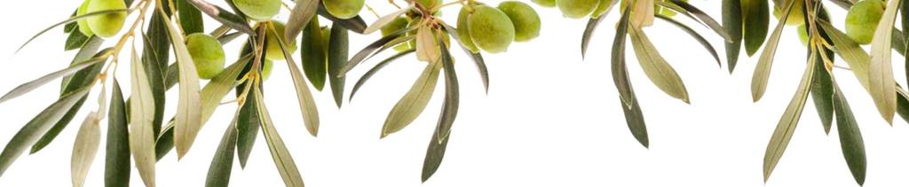 Olive Nere Giganti Giant Black Olives 1.5kg Code: 1VROLIGIGNERE.5KG Olive Nere Infornate Baked Black Olives 1.5kg Code: 1VROLIFORNO1.