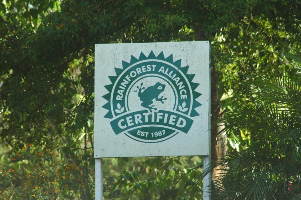 RFA Certification RFA (Rainforest Alliance) All of our