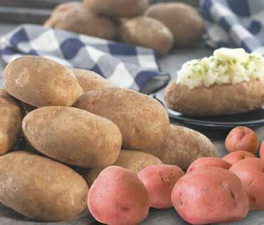 Russet Potatoes Lb. 1 99 Ea.