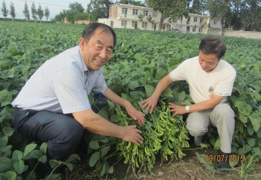 profit than grain soybean The Chinese government encourages farmers to