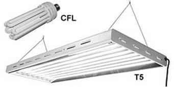 Supplemental light? Supplemental lighting is most efficiently done with fluorescent fullspectrum bulbs.