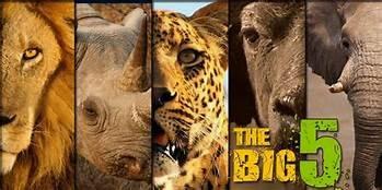 SATURDAY DINNER PRESENTATION August 25, 2018 6:00pm Presentation Dinner to Follow The Big 5 of the African Bush and Other Related Friends The Big 5 of Africa referring to the traditional big 5