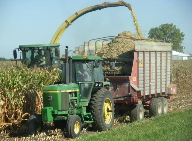 Corn Silage Kernel Processing Score, Fall & Spring 35 30 Adequate Percent of Samples, % 25 20 15 Poor Excellent 10 5 0 30-40 40-50 50-60 60-70 70-80 80-90 90-100 Corn Silage Kernel