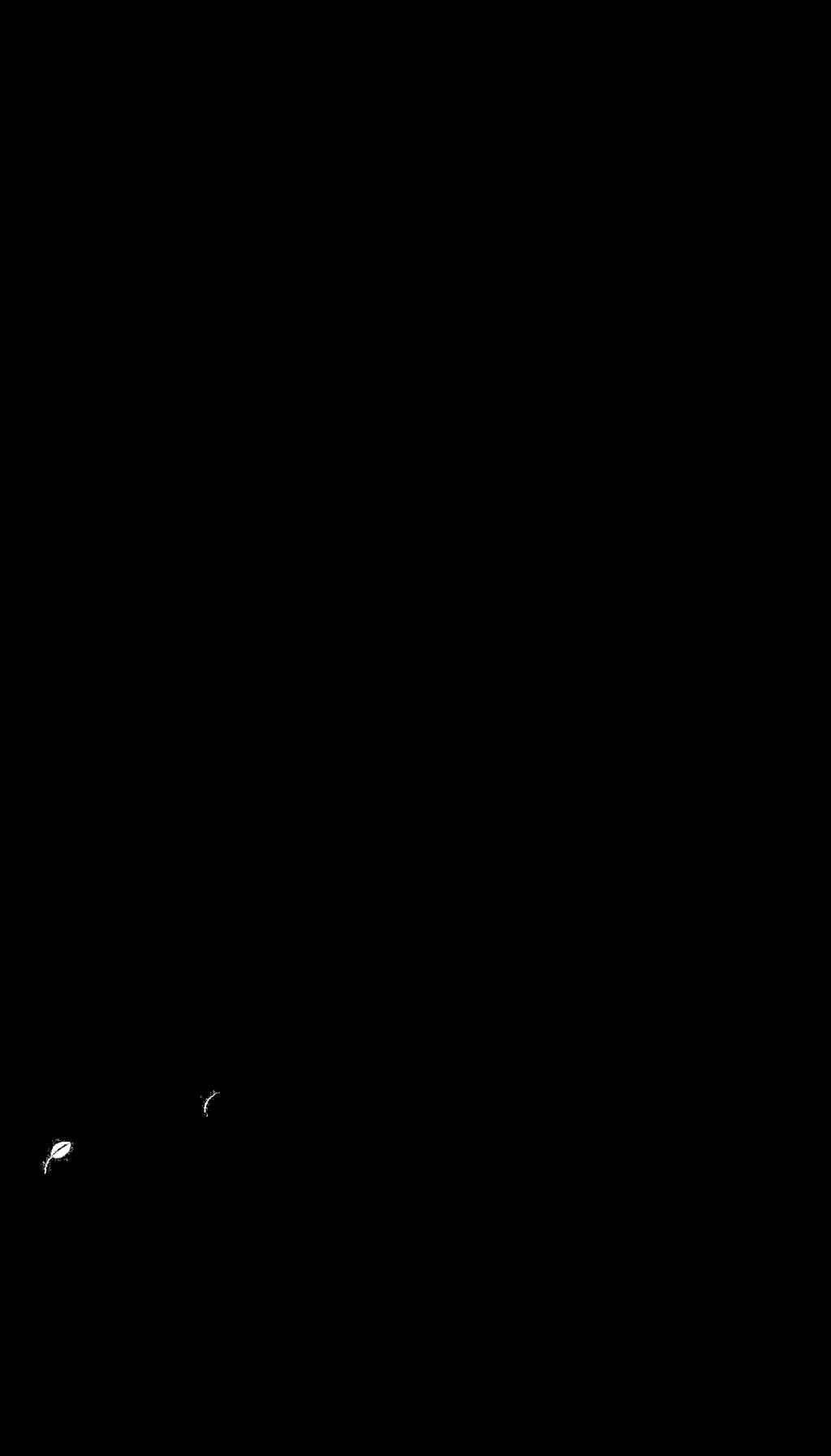 GUJARATI SPECIALITY Farsan (Tradi onal Guajara finger food) Patra/Khaman/Khandvi/Handvo 250 MAIN Sev Tameta nu Shaak 325 Sweet and sour tomato curry Bharela Ringana 375 Stuffed eggplant with crushed