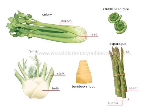 Classifying Vegetables 5.
