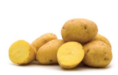 Types of Potatoes Mealy.