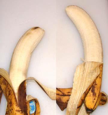 There were several brown bruises on the control banana that are normally associated with an over ripe banana as well as a very developed dark spot at the top of the banana.